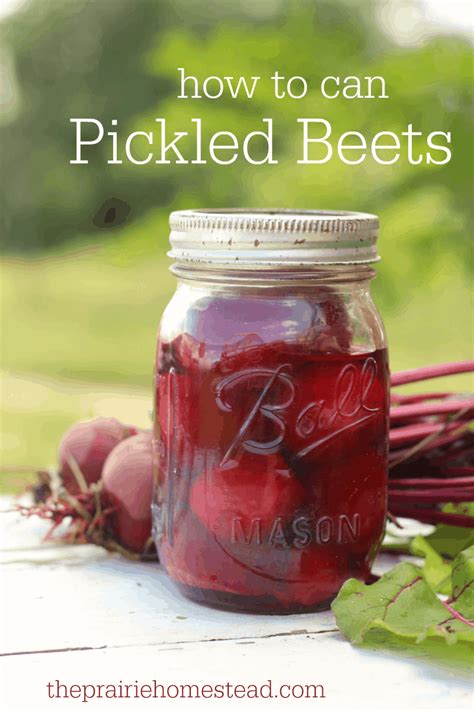 How To Can Pickled Beets • The Prairie Homestead Recipe Canned