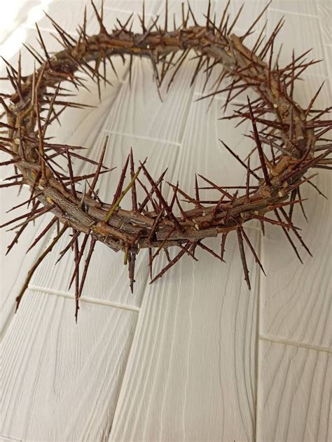 Sharp Real Thornjesus Christ Crownthorns Crown Home Decor Etsy