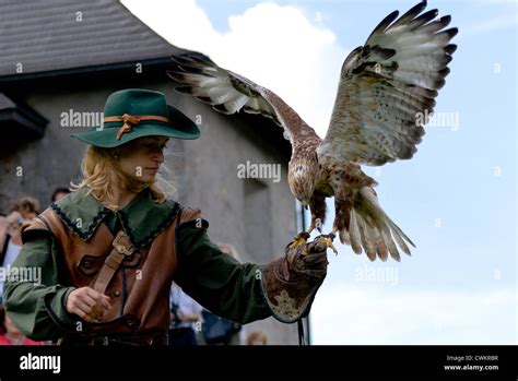 Medieval Falconry Stock Photos & Medieval Falconry Stock Images - Alamy