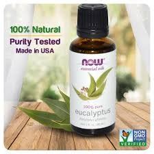 NOW EUCALYPTUS OIL 30 ML EACH Willkins Pharmacy