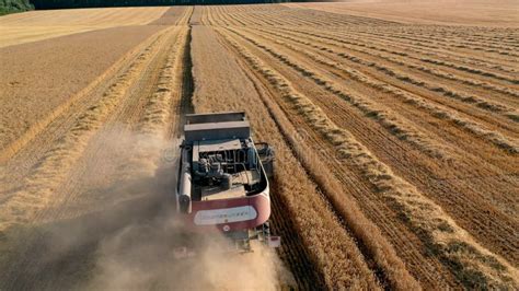 July 29 2019 Ukraine Bucha Harvester On A Wheat Field Harvests Top