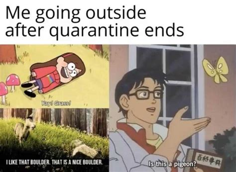 32 More Funny Quarantine Memes QuarantineLife Stircrazy