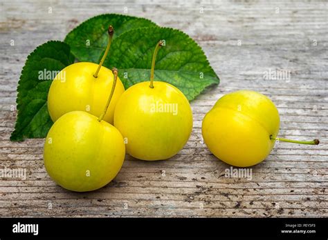 Yellow Cherry Plum Prunus Cerasifera Ripe Of Fruit On Woody Table