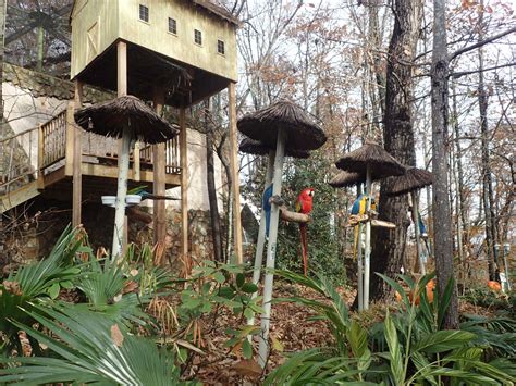 Parrot Mountain And Gardens In Pigeon Forge