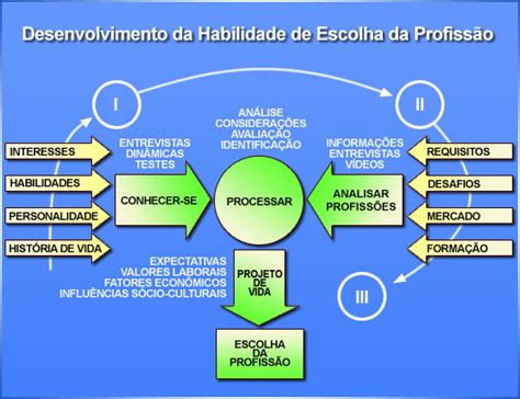 Orientação Vocacional Profissional Sônia Faraco