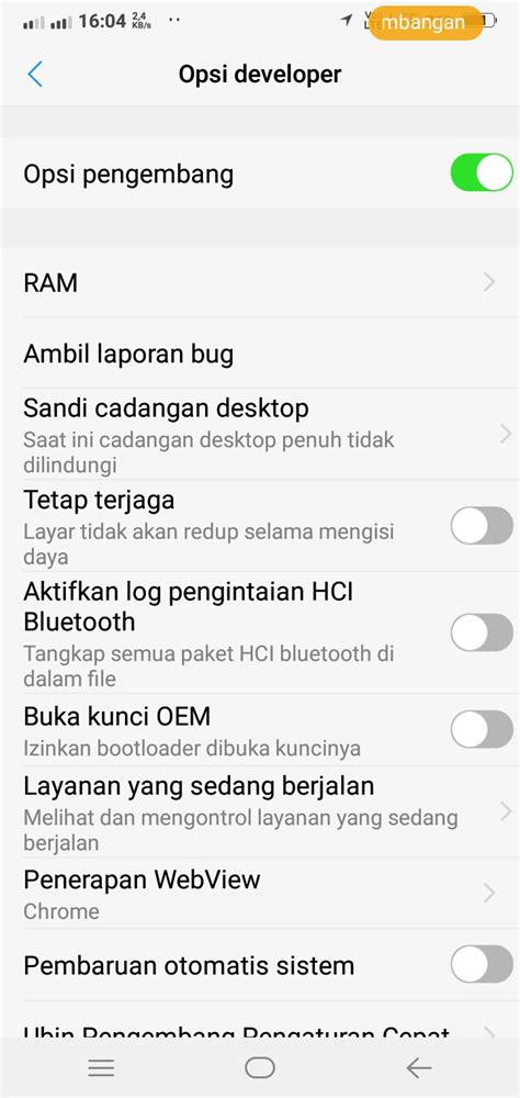 Cara Mengaktifkan Memunculkan Opsi Pengembang Developer Opstions Di