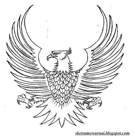 Sketsa Mewarnai Gambar Burung Garuda - Sketsa Mewarnai