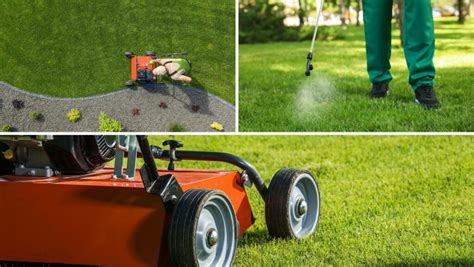 Managing Common Lawn Pests And Diseases In Pennsylvania