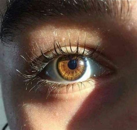 Beautiful Eyes Color Stunning Eyes Brown Eyes Aesthetic Nature