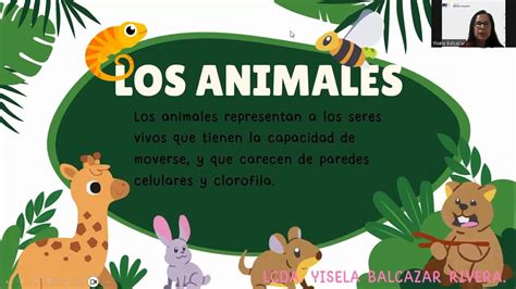 LOS ANIMALES | CIENCIAS NATURALES | LCDA. YISELA BALCAZAR - YouTube