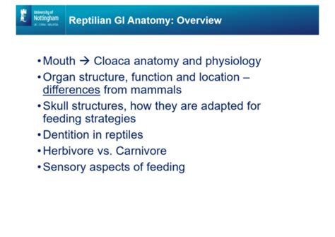 Reptile Gi Anatomy And Physiology Flashcards Quizlet