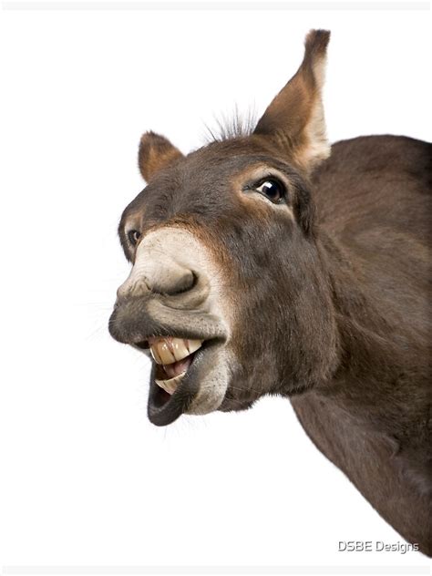 "Super cute smiling Donkey" Poster for Sale by lulabella666 | Redbubble