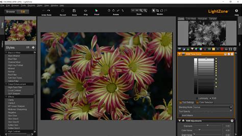 The Best Open Source Lightroom Alternatives Three Winners And Two That