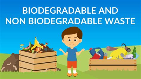 Biodegradable And Non Biodegradable Waste Waste Management How To