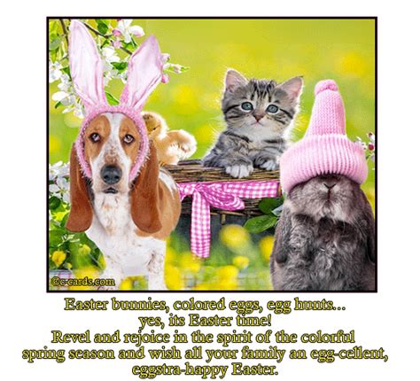 Animal Easter Wishes. Free Egg Hunt eCards, Greeting Cards | 123 Greetings