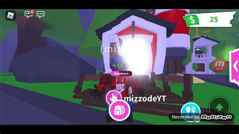 Je Test La Nouvelle Mise Jour Sur Adopt Me A Co Te Des Robux Donc J