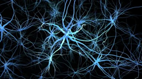 Neuron network. Flight through brain. 3D... | Stock Video | Pond5