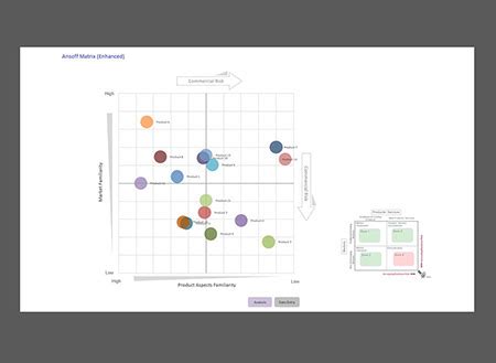 Ansoff Matrix - Risk Analysis