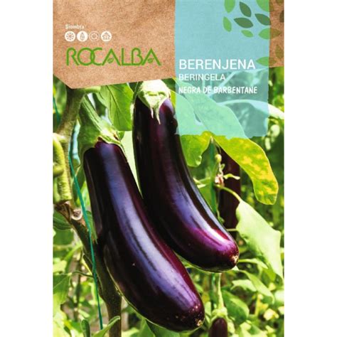 Semillas de Berenjena Morada Negra Agrojardín Sala SL