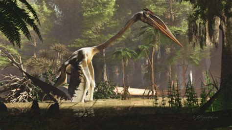 Quetzalcoatlus Animal And Plant Wiki Fandom