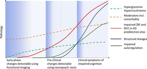 Frontiers Neurovascular Coupling In Type Diabetes With Cognitive