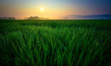 Agriculture Clouds Cropland Crops Environment Farmland Field