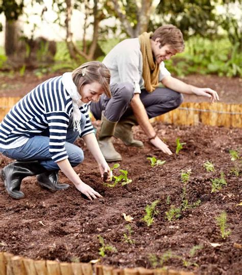 How Far Apart to Plant Green Beans? (Spacing in Pots & Raised Bed) - FarmingThing.com