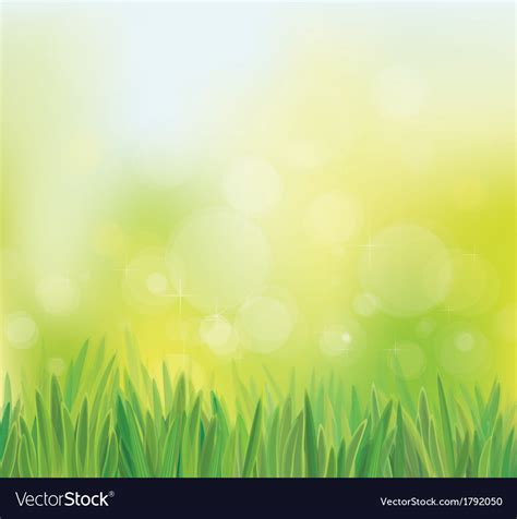 Sky grass Royalty Free Vector Image - VectorStock