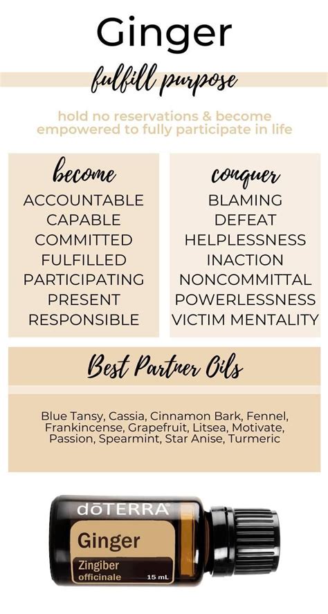 List Of 60 Essential Oils Their Benefits And Uses Pdf Printable Guide