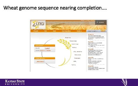 The Future Of Wheat Genomics To Accelerate Wheat