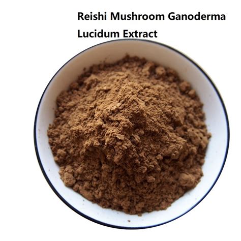 100 Pure Natural Reishi Mushroom Ganoderma Lucidum Extract China