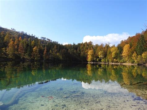 Bergsee Wald Wasser Kostenloses Foto Auf Pixabay Pixabay