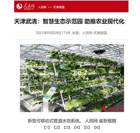 【央媒聚焦】天津武清：智慧生态示范园 助推农业现代化大禹节水