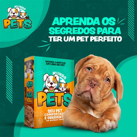 Mundo Pet Adestramento Em Casa