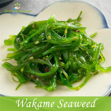 Wakame Seaweed: The 6 CRUCIAL Benefits (with Recipes)