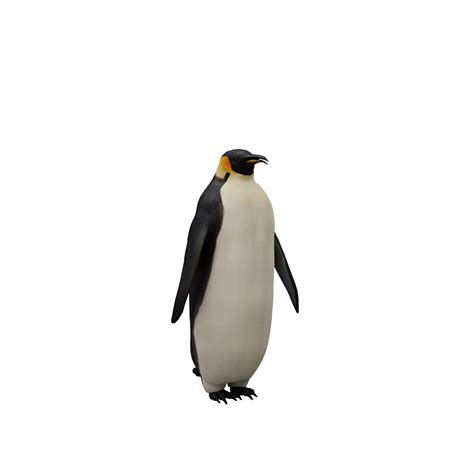 3d penguin isolated 18876073 PNG