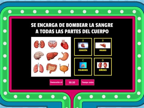 Organos Del Cuerpo Gameshow Quiz