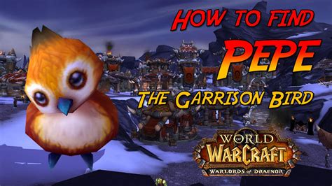 World Of Warcraft How To Find Pepe Youtube