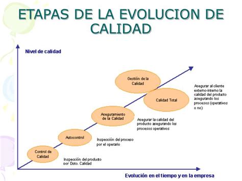 Fases De Calidad