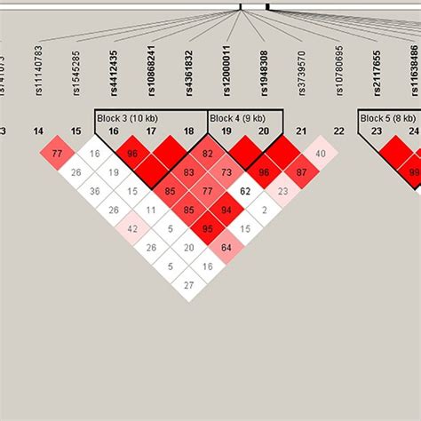 Haplotype block map of block 7 (defined manually). | Download ...