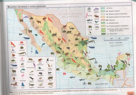 Regiones Naturales De Mexico 2 Pdf Ar | Images and Photos finder