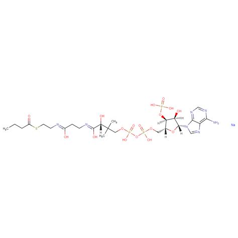 Butyryl Coenzyme A sodium salt 凯梅根上海生物科技有限公司