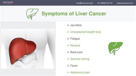 Ppt Liver Cancer What You Should Know Powerpoint Presentation Free Download Id7469436