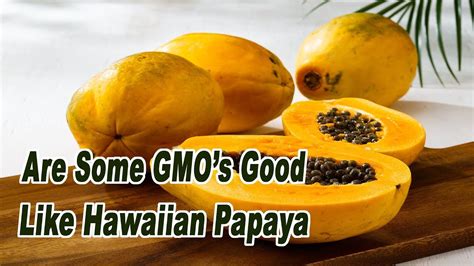 Arent Some Gmos Good Like The Hawaiian Papaya Youtube