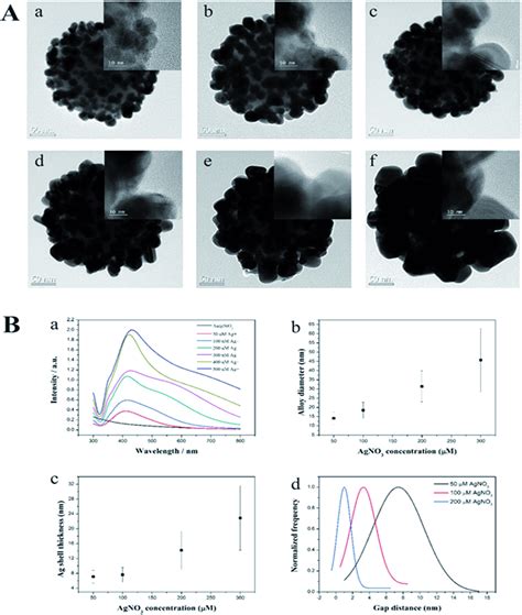 A Transmission Electron Micrographs Of The Sio2auag Nps Synthesized