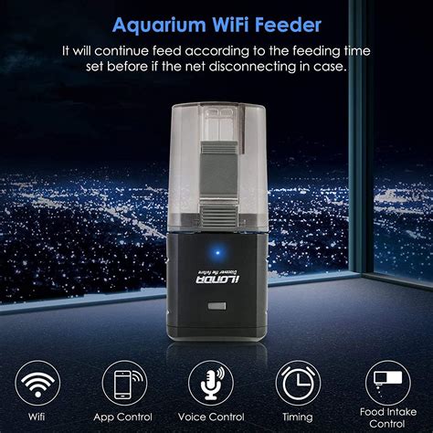 Lychee Aquarium Wifi Control Fish Feeder Automatic Fish Food