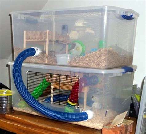 2x Large Bin Cage Habitat Hamster Central