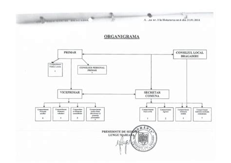 Primarie Organigrama Pdf