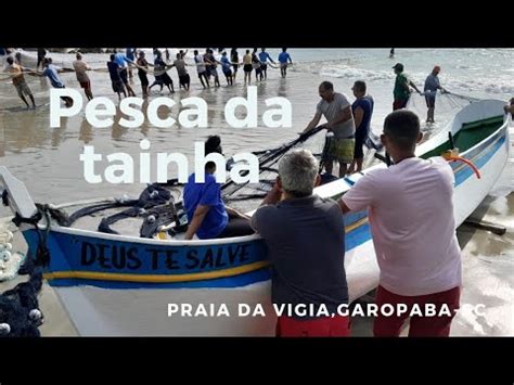 Safra Da Tainha 2024 Pesca Da Tainha Praia Da Vigia 12 05 24 Garopaba