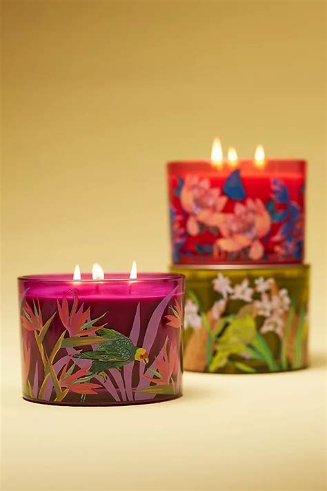 Aria Fruity Lychee And Pink Dragon Fruit Glass Candle Anthropologie